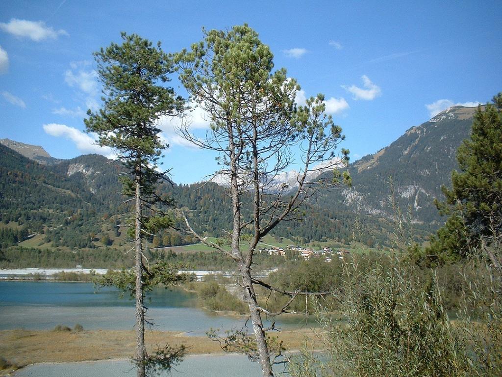 Ferienhaeuschen Kathrein Villa Ehenbichl Ruang foto